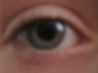 auge2.JPG