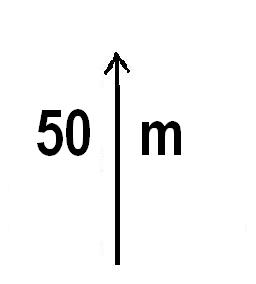 50m-geradeaus-weiter.JPG